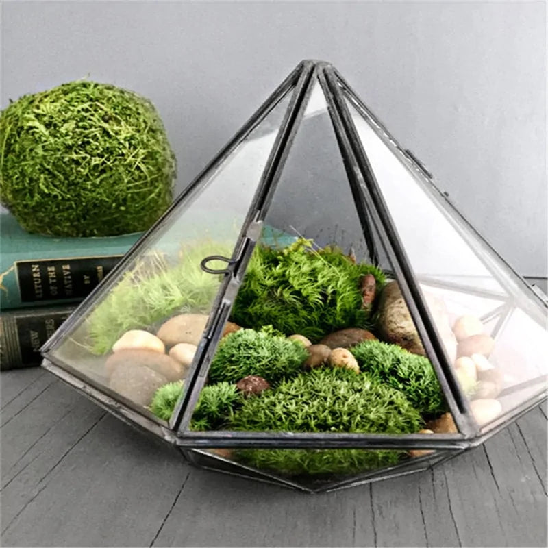 Diamond Glass Terrarium