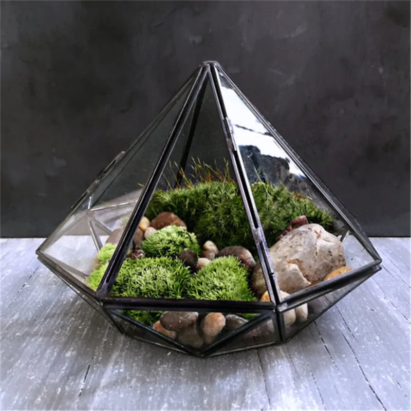 Diamond Glass Terrarium