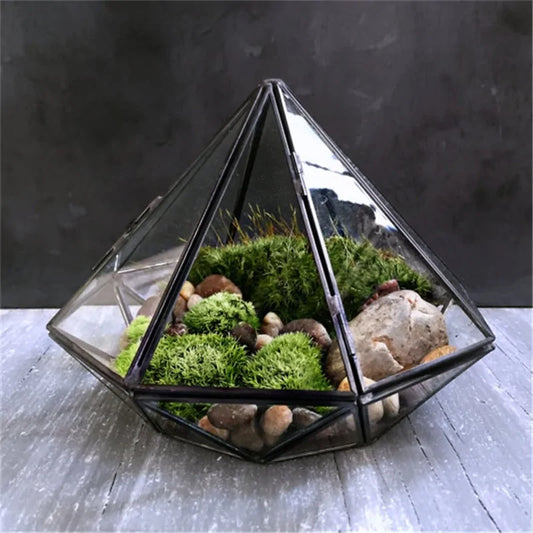 Diamond Glass Terrarium